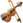 violin
